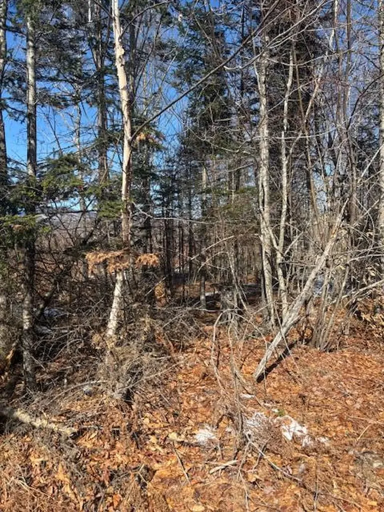 Lot #20 Hollis Drive (Eagle Ridge) Road Kingfield ME 04947