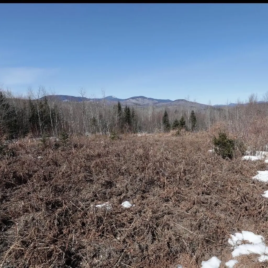 Lot #20 Hollis Drive (Eagle Ridge) Road Kingfield ME 04947