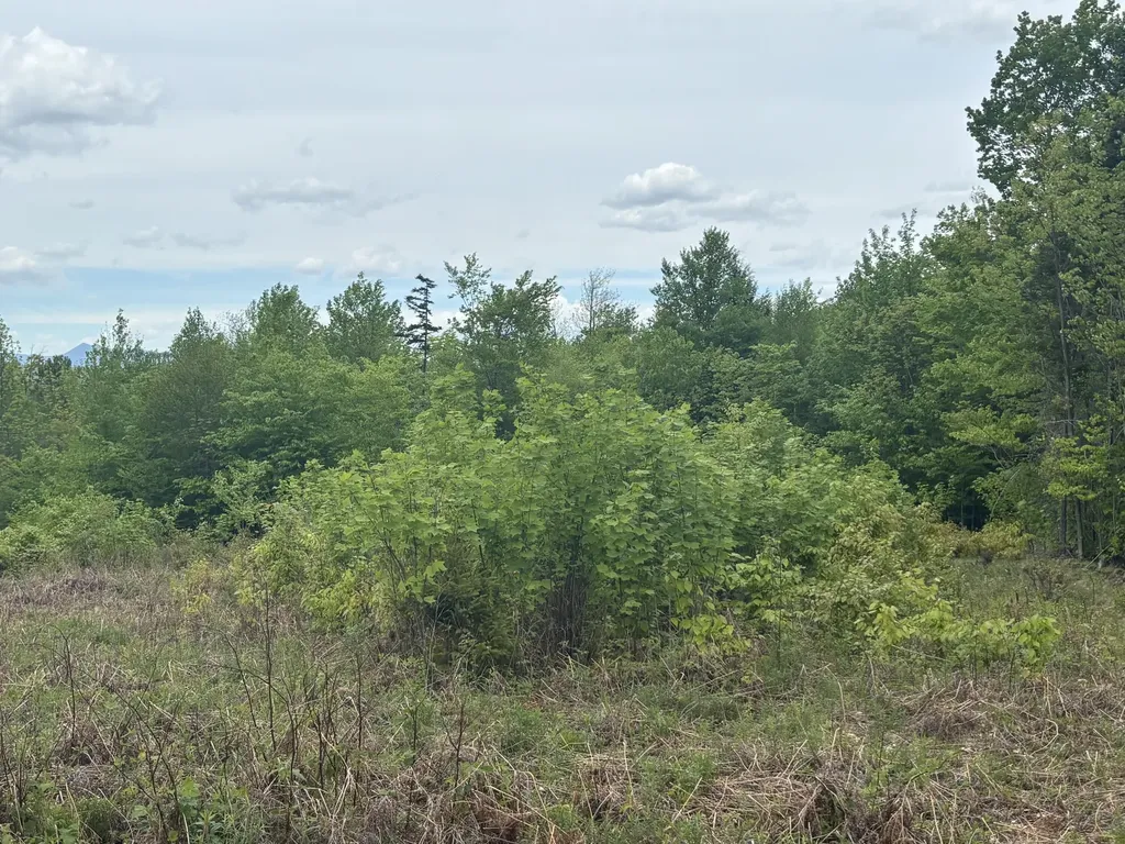 Lot #20 Hollis Drive (Eagle Ridge) Road Kingfield ME 04947