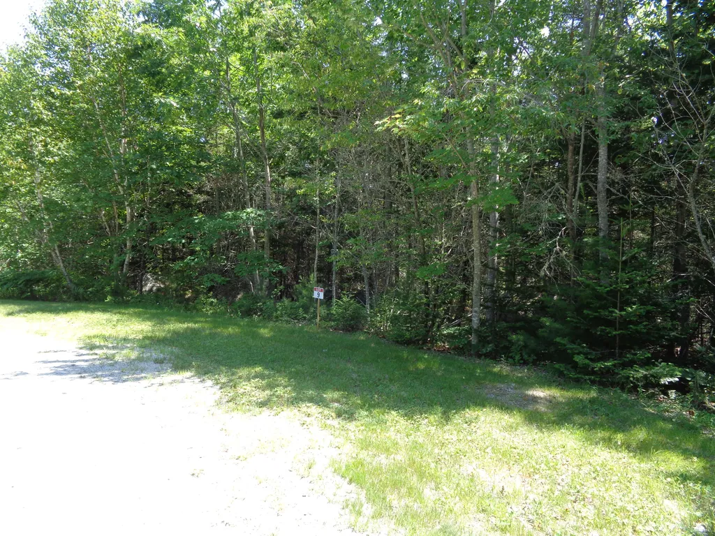 Lot 9 Bailey Mountain Road Franklin ME 04634
