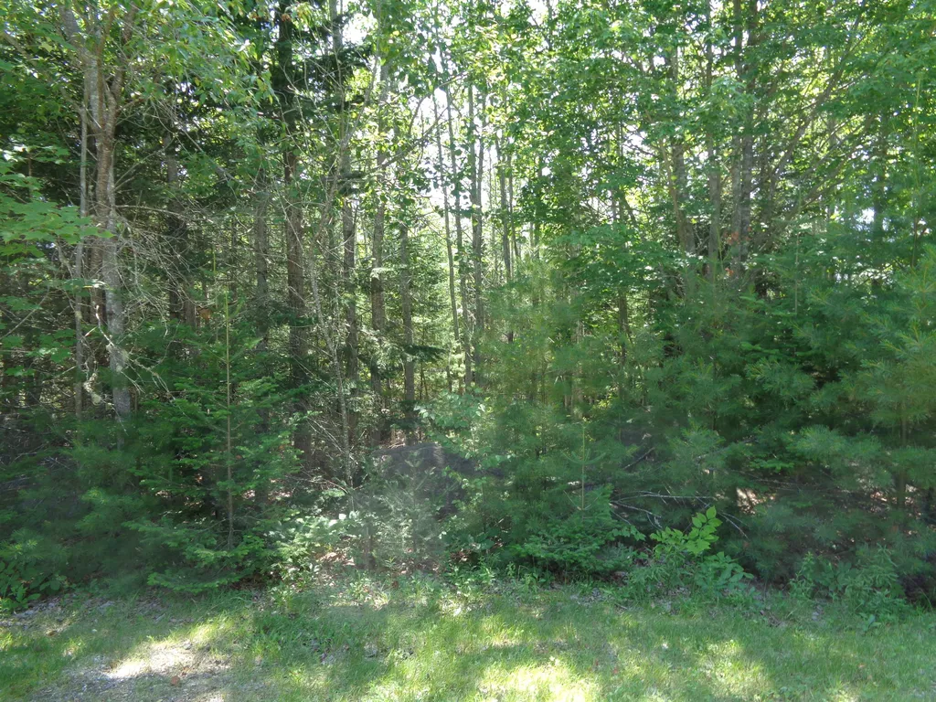 Lot 9 Bailey Mountain Road Franklin ME 04634