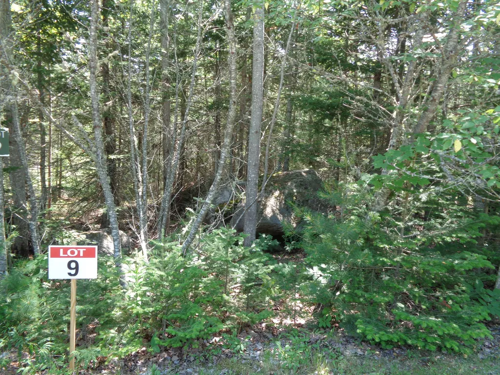 Lot 9 Bailey Mountain Road Franklin ME 04634