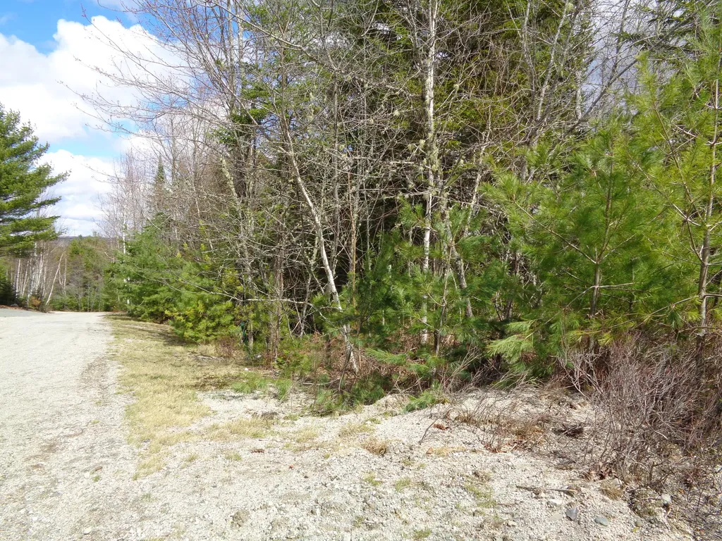 Lot 9 Bailey Mountain Road Franklin ME 04634
