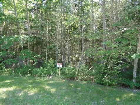 Lot 9 Bailey Mountain Road Franklin ME 04634