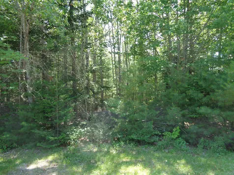 Lot 9 Bailey Mountain Road Franklin ME 04634
