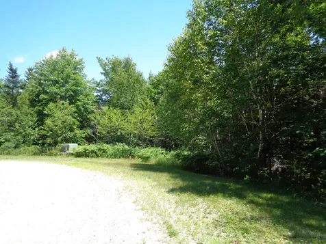 Lot 9 Bailey Mountain Road Franklin ME 04634