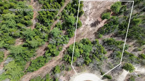 Lot 9 Bailey Mountain Road Franklin ME 04634