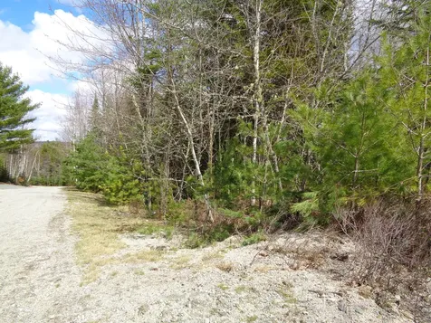 Lot 9 Bailey Mountain Road Franklin ME 04634