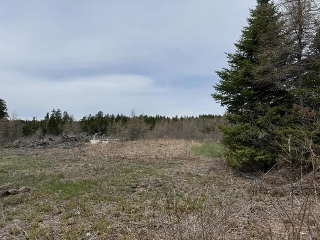 Lot 1 Holmes Bay Farms Road Whiting ME 04691