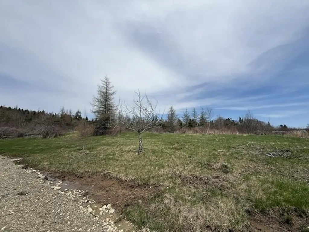 Lot 1 Holmes Bay Farms Road Whiting ME 04691