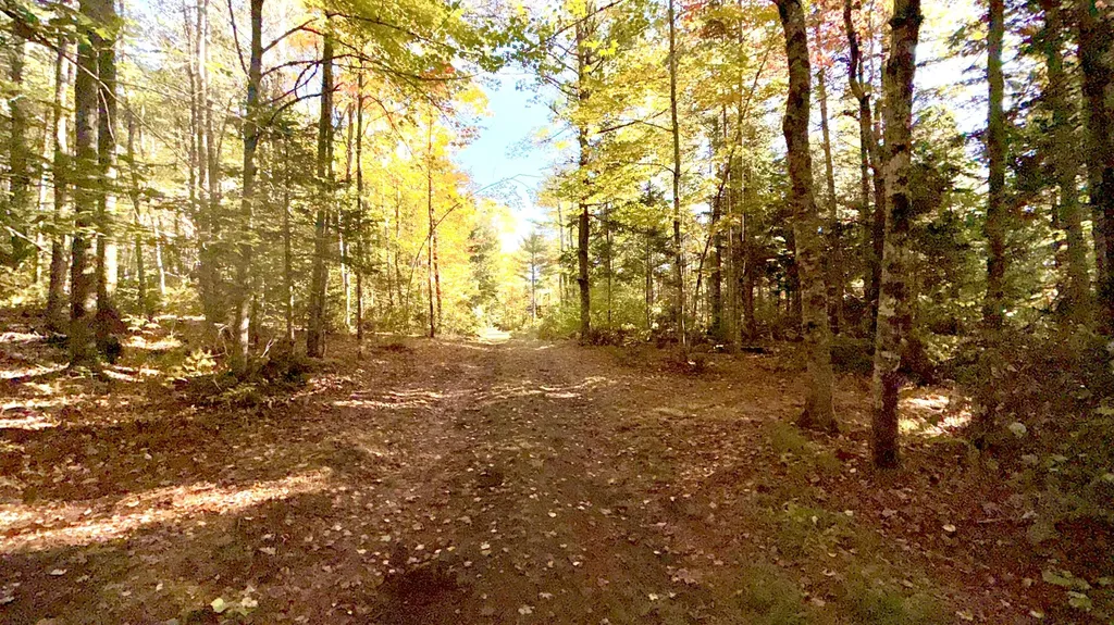 Tbd Ames Road Lee ME 04455
