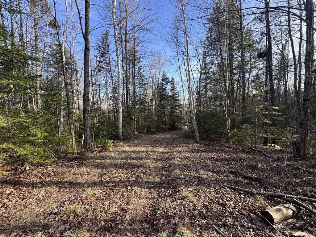 488 Cook Hill Road Freeman Twp ME 04983