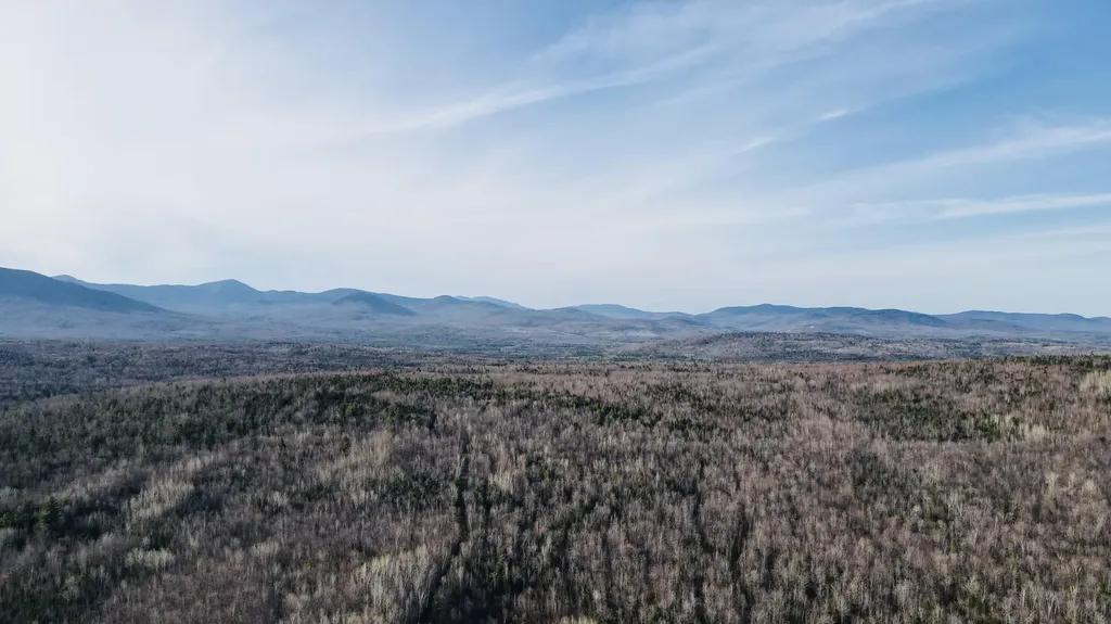 488 Cook Hill Road Freeman Twp ME 04983