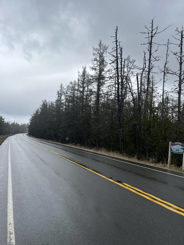 M3L2,5 Us Route 1 Highway Danforth ME 04424