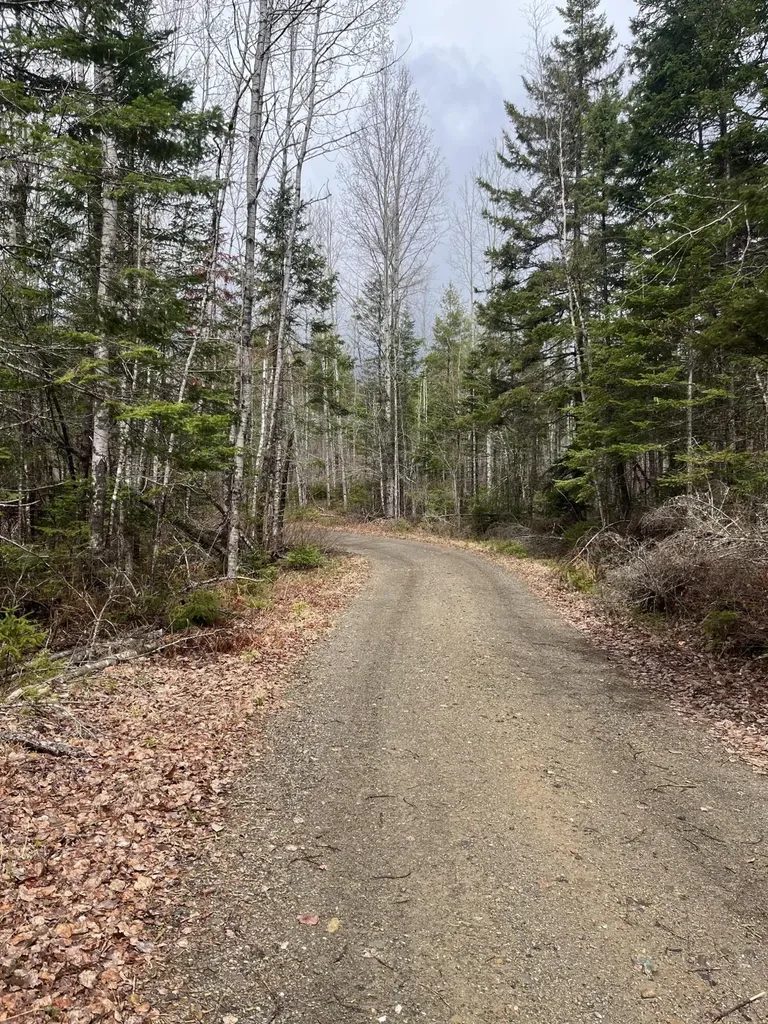 M3L2,5 Us Route 1 Highway Danforth ME 04424
