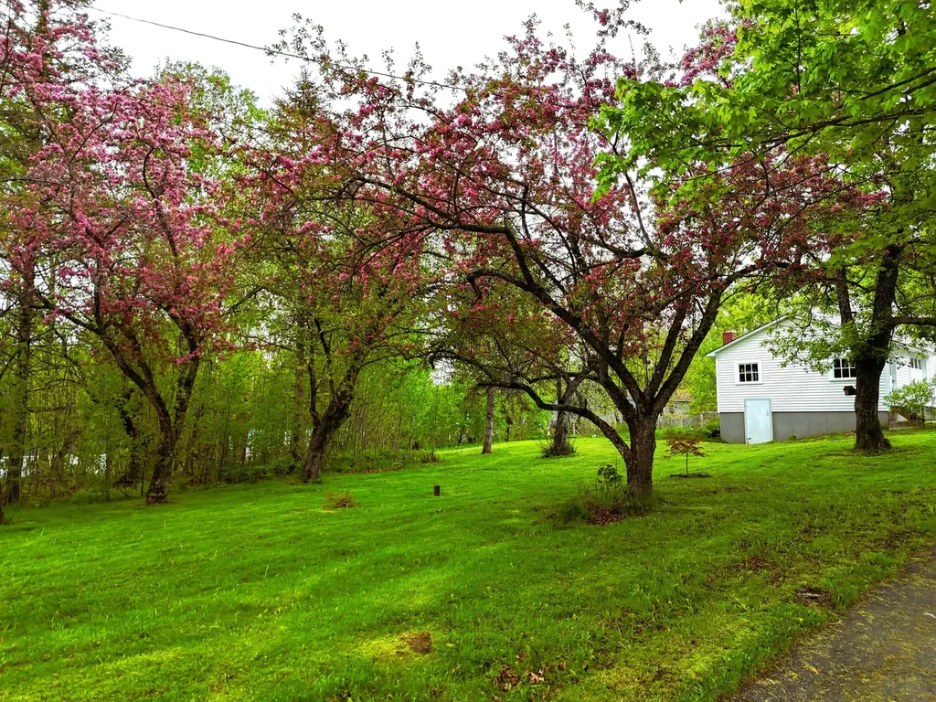 90 W Main Street Milo ME 04463