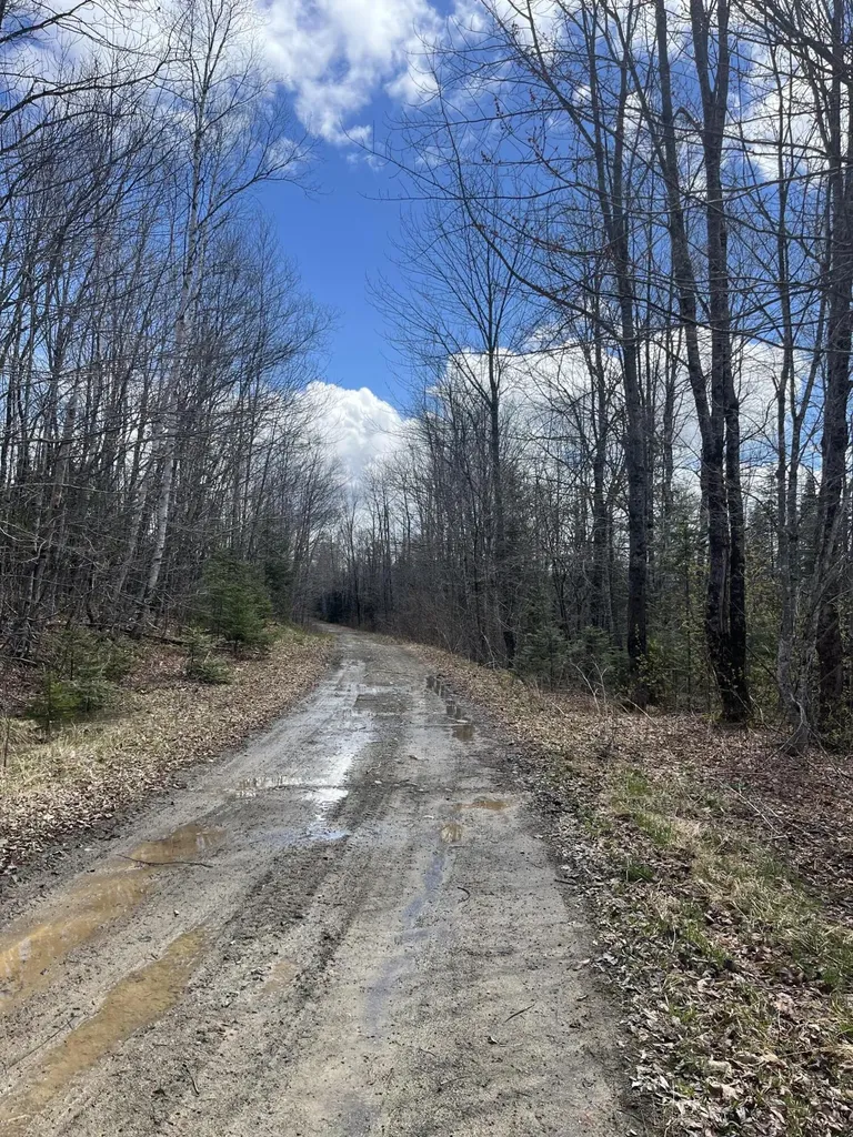 M13L30 Old Calais Road Danforth ME 04424