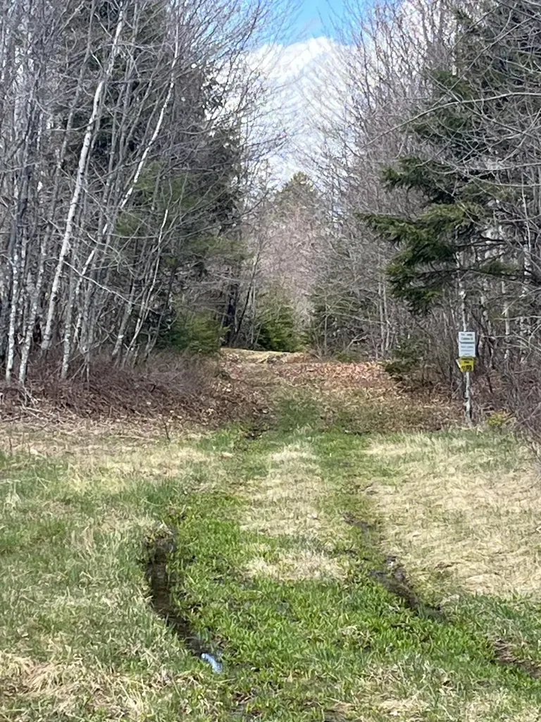 M13L30 Old Calais Road Danforth ME 04424