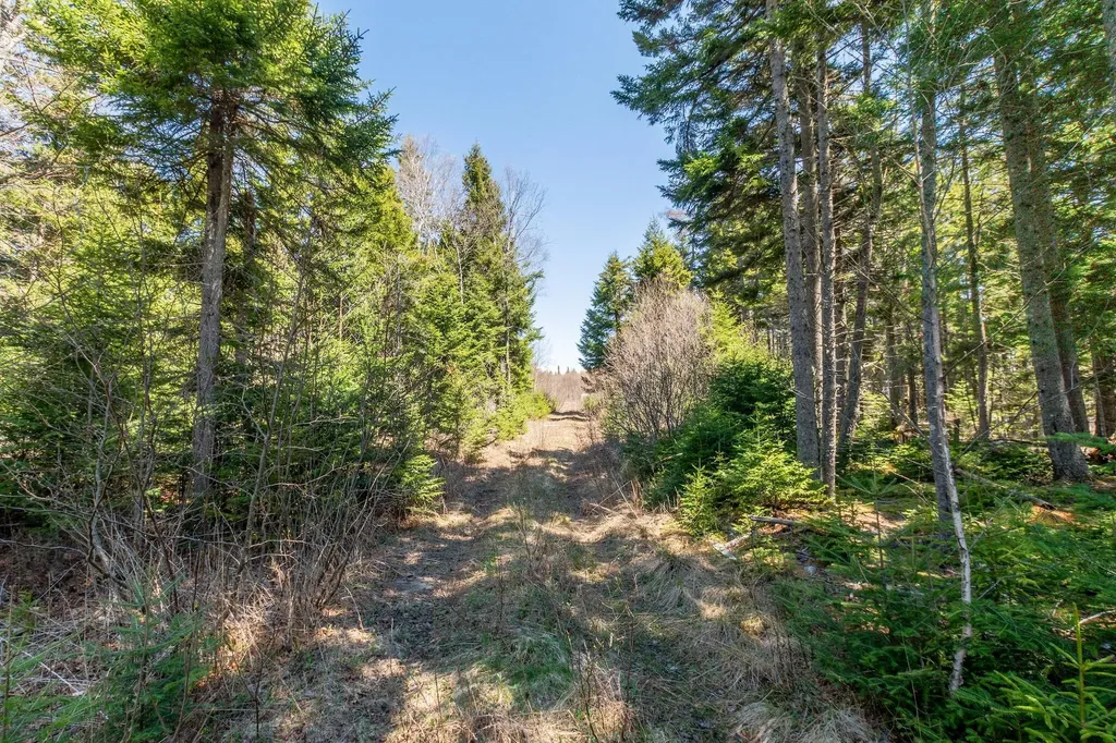 840 Cutler Road Machiasport ME 04655