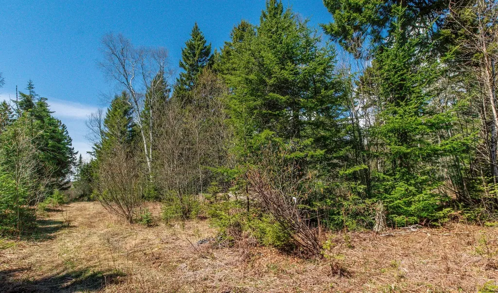 840 Cutler Road Machiasport ME 04655