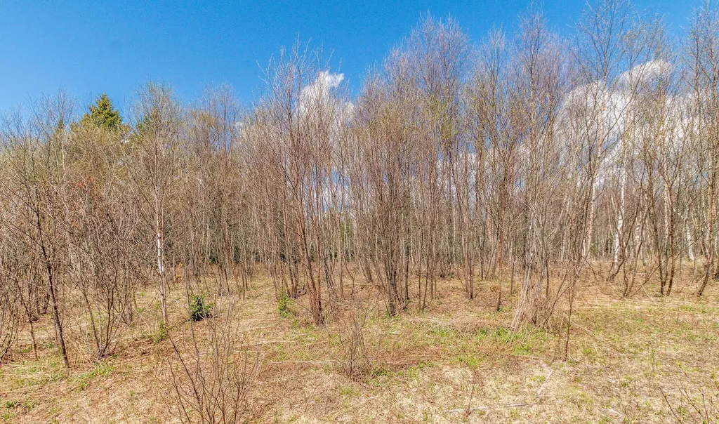 840 Cutler Road Machiasport ME 04655
