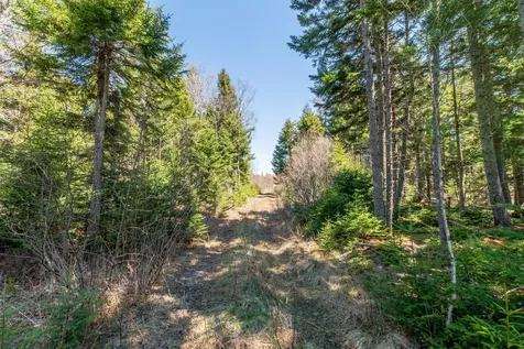 840 Cutler Road Machiasport ME 04655