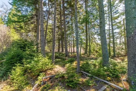 840 Cutler Road Machiasport ME 04655