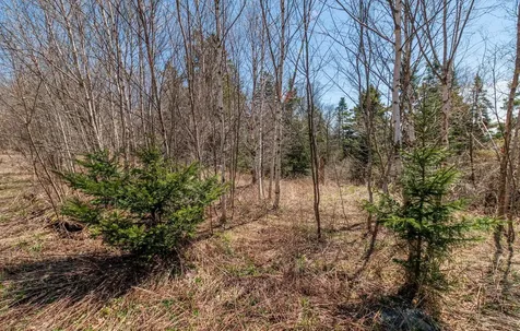 840 Cutler Road Machiasport ME 04655
