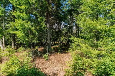 840 Cutler Road Machiasport ME 04655