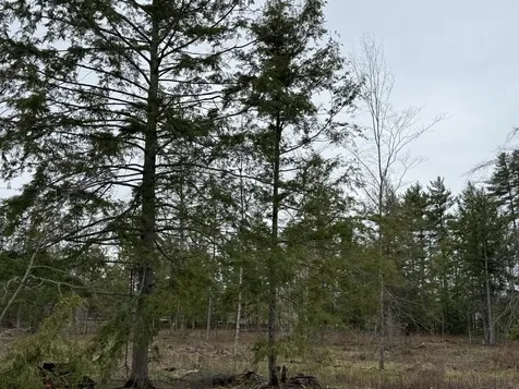 1422 Sokokis Trail Waterboro ME 04061
