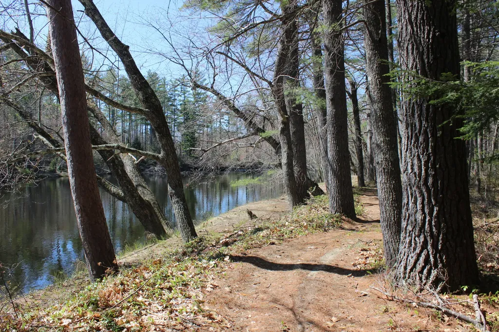 LOT19A Riverbend Road Brownfield ME 04010