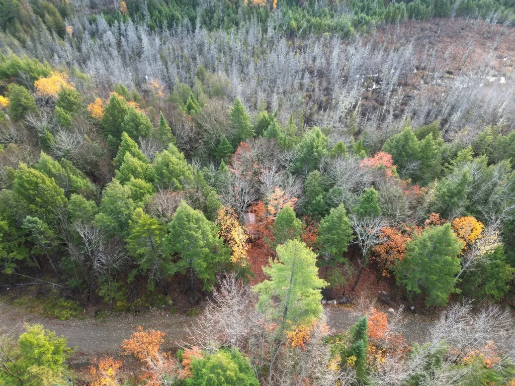 22 Sugarbush Lane Lee ME 04455