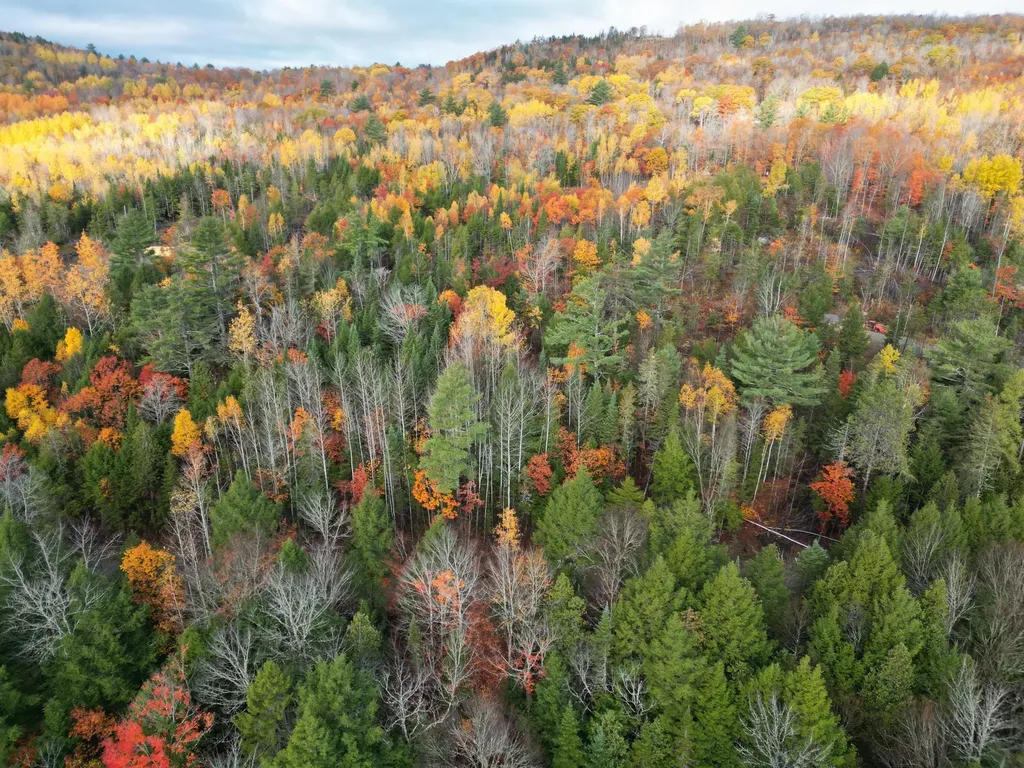22 Sugarbush Lane Lee ME 04455