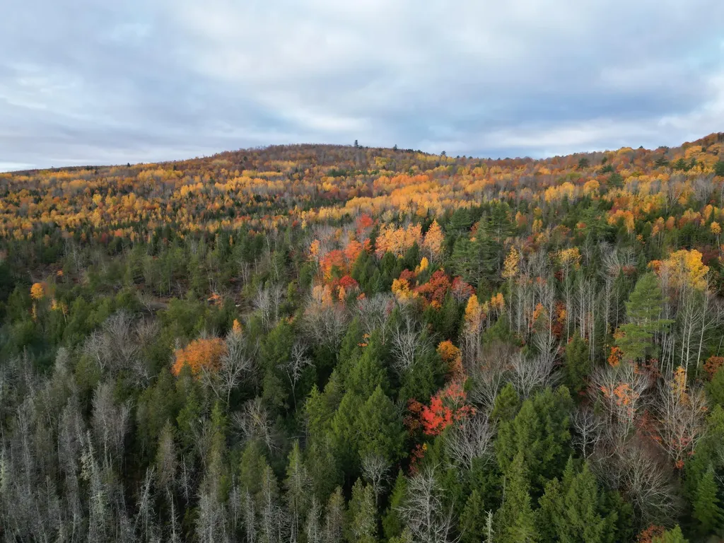 22 Sugarbush Lane Lee ME 04455