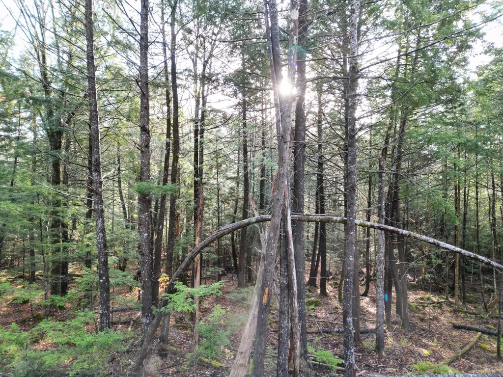 22 Sugarbush Lane Lee ME 04455