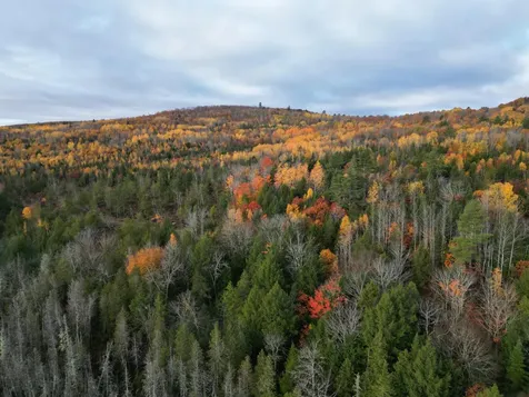 22 Sugarbush Lane Lee ME 04455