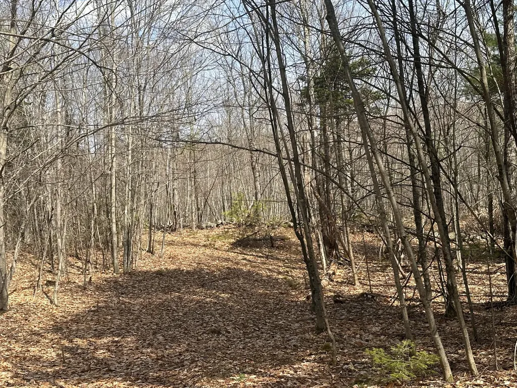 Lot 2 Filaroska Road New Sharon ME 04955