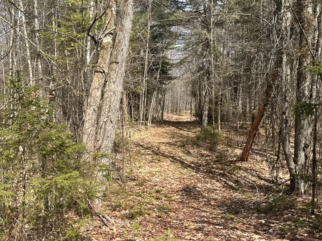 Lot 2 Filaroska Road New Sharon ME 04955