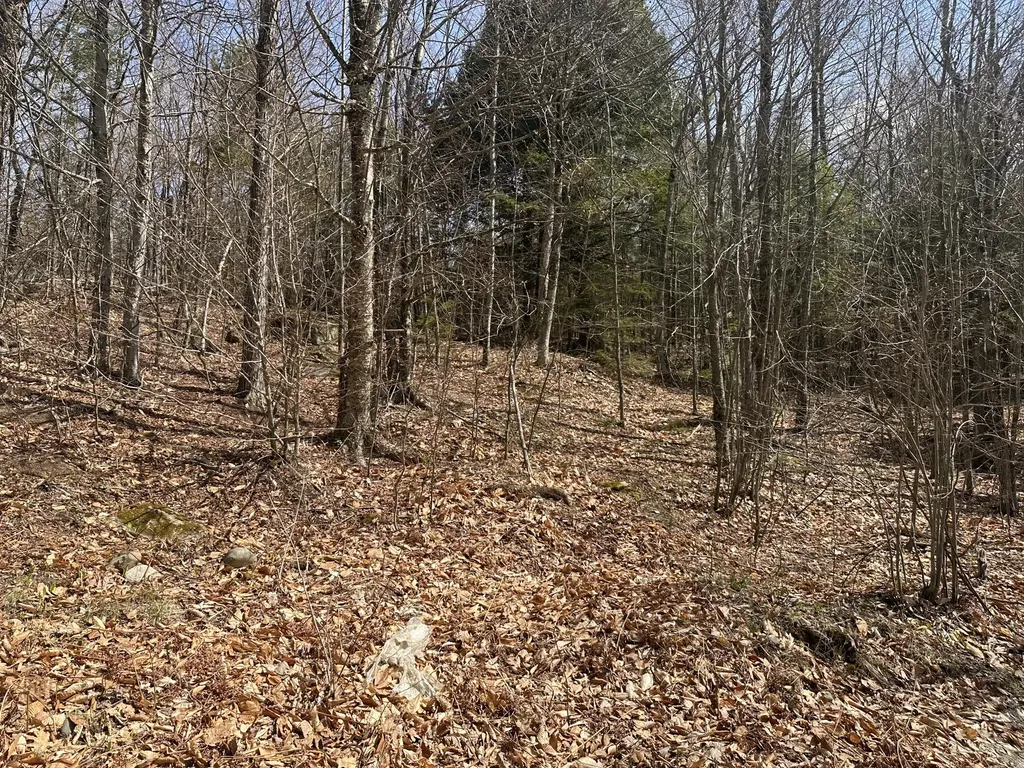 Lot 2 Filaroska Road New Sharon ME 04955