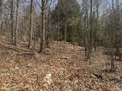 Lot 2 Filaroska Road New Sharon ME 04955