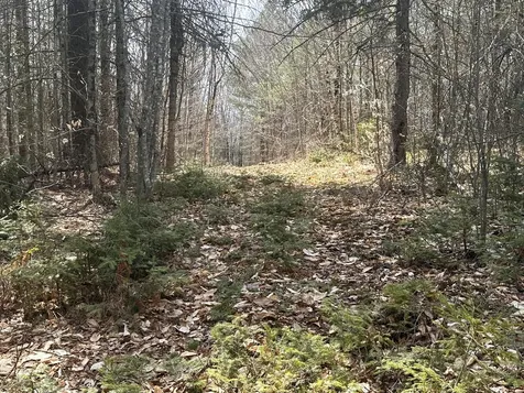 Lot 2 Filaroska Road New Sharon ME 04955
