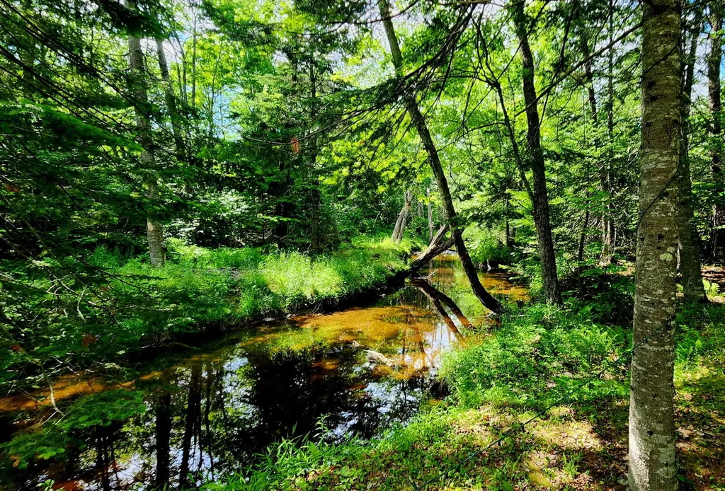 461 Four Mile Square Road Anson ME 04911
