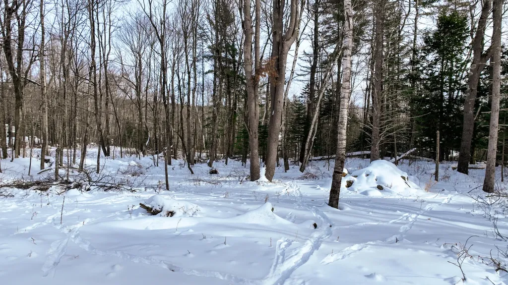 20 Skyscraper Hill Road Brooks ME 04921