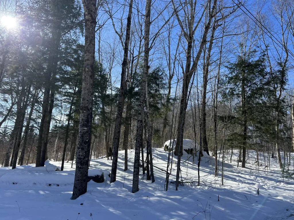 20 Skyscraper Hill Road Brooks ME 04921