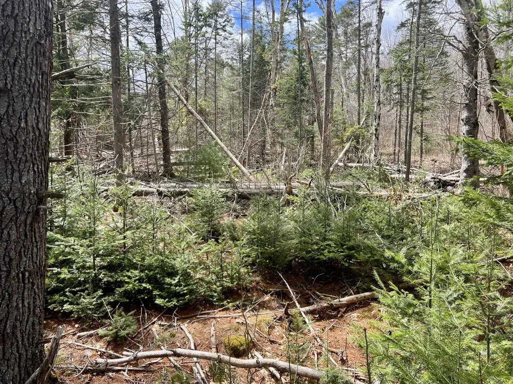 20 Skyscraper Hill Road Brooks ME 04921