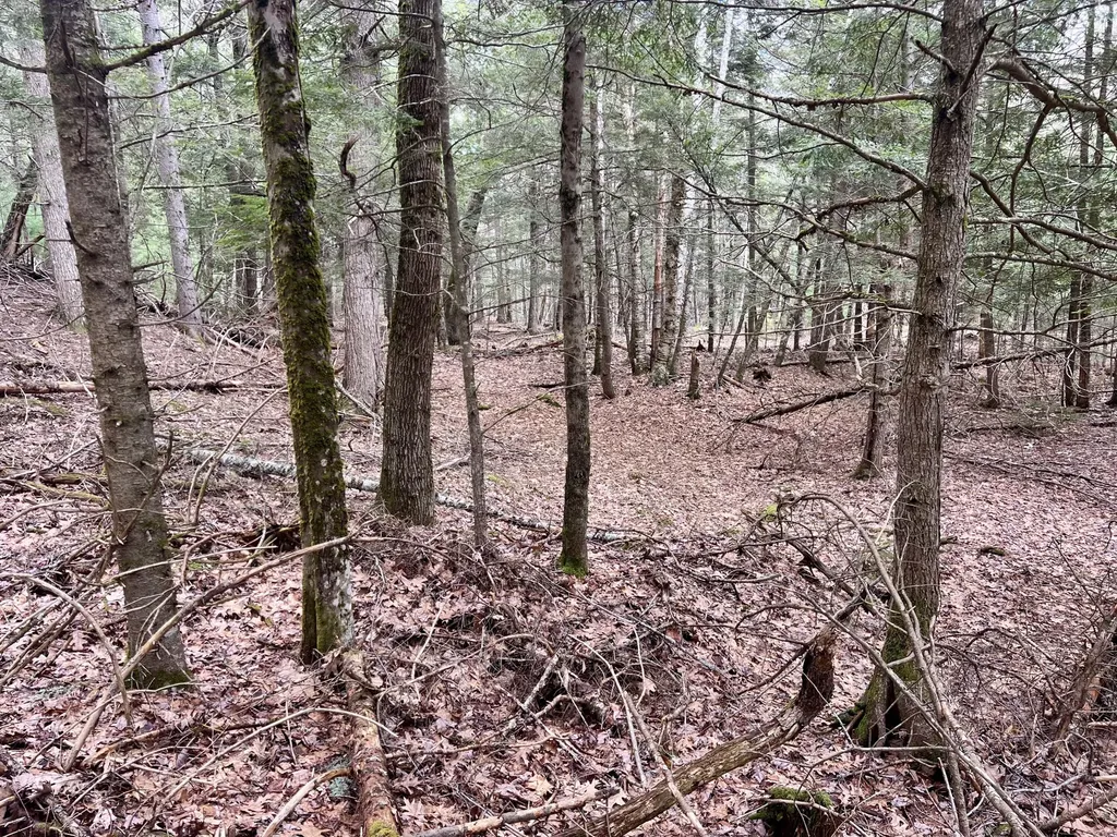 20 Skyscraper Hill Road Brooks ME 04921
