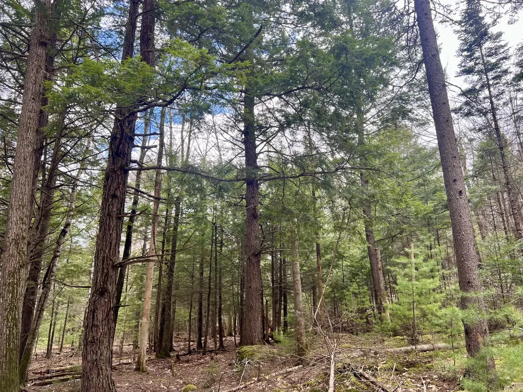 20 Skyscraper Hill Road Brooks ME 04921