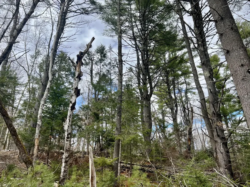 20 Skyscraper Hill Road Brooks ME 04921