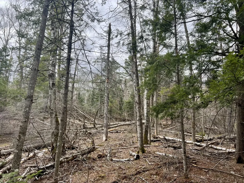 20 Skyscraper Hill Road Brooks ME 04921