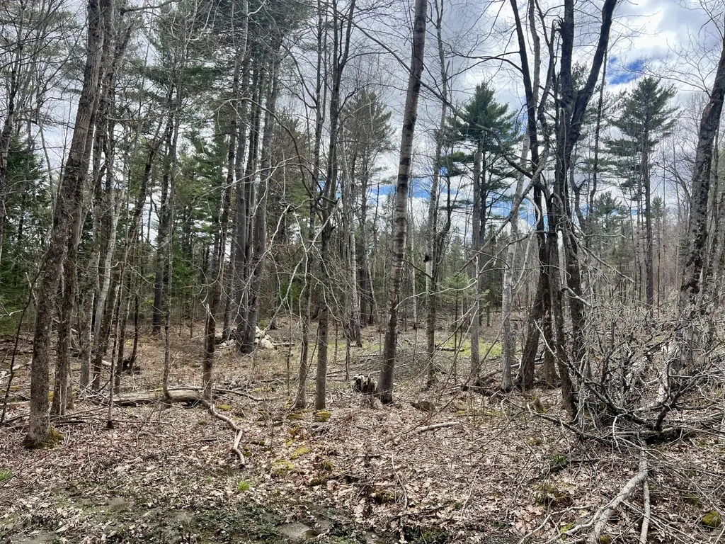 20 Skyscraper Hill Road Brooks ME 04921